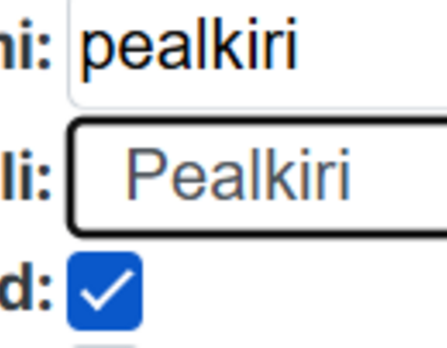 aval_veebi_loppvali.png