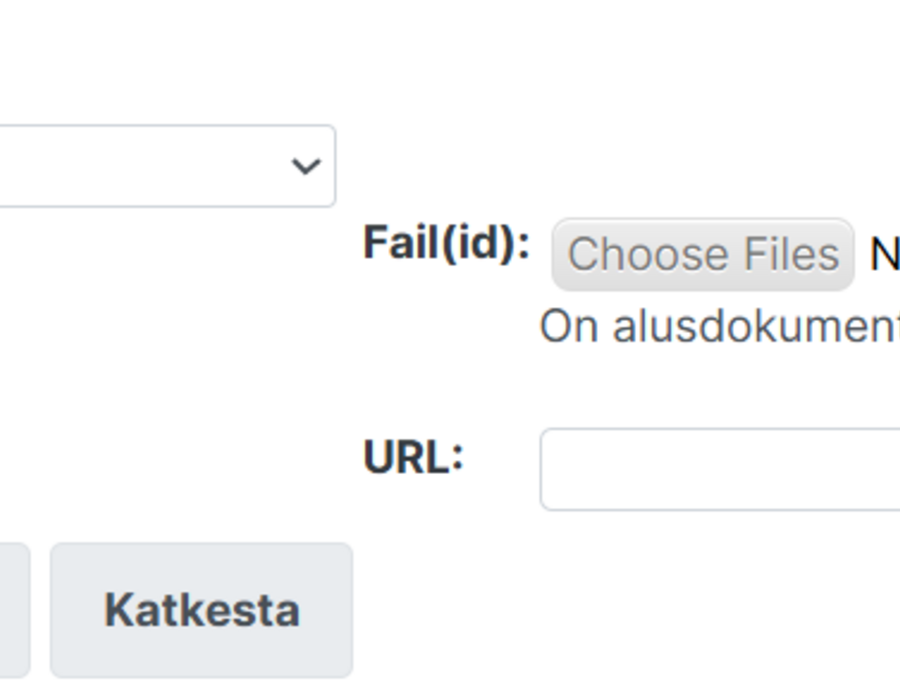 malli_faili_lisamine.png