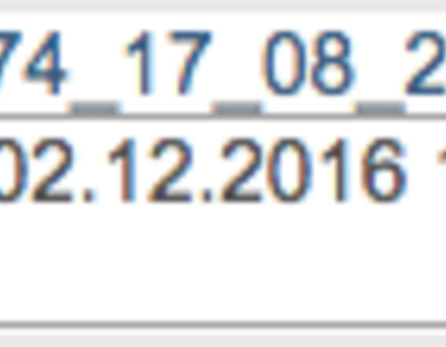 allkirjastatud_fail.png