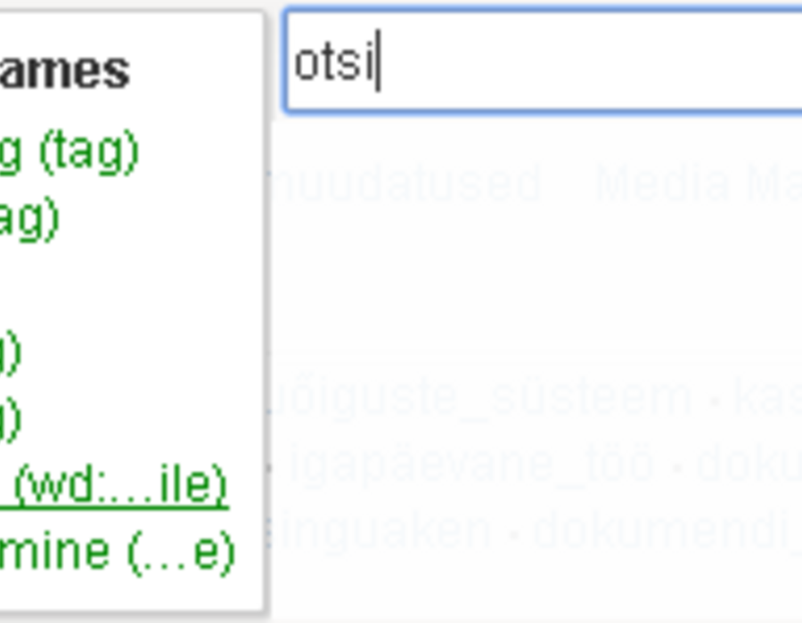 dokuwiki_otsinguaken.png