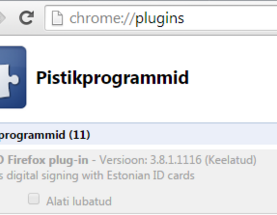 google_chrome_pistikprogrammi_lubamine.png