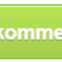 lisa_kommentaar.png