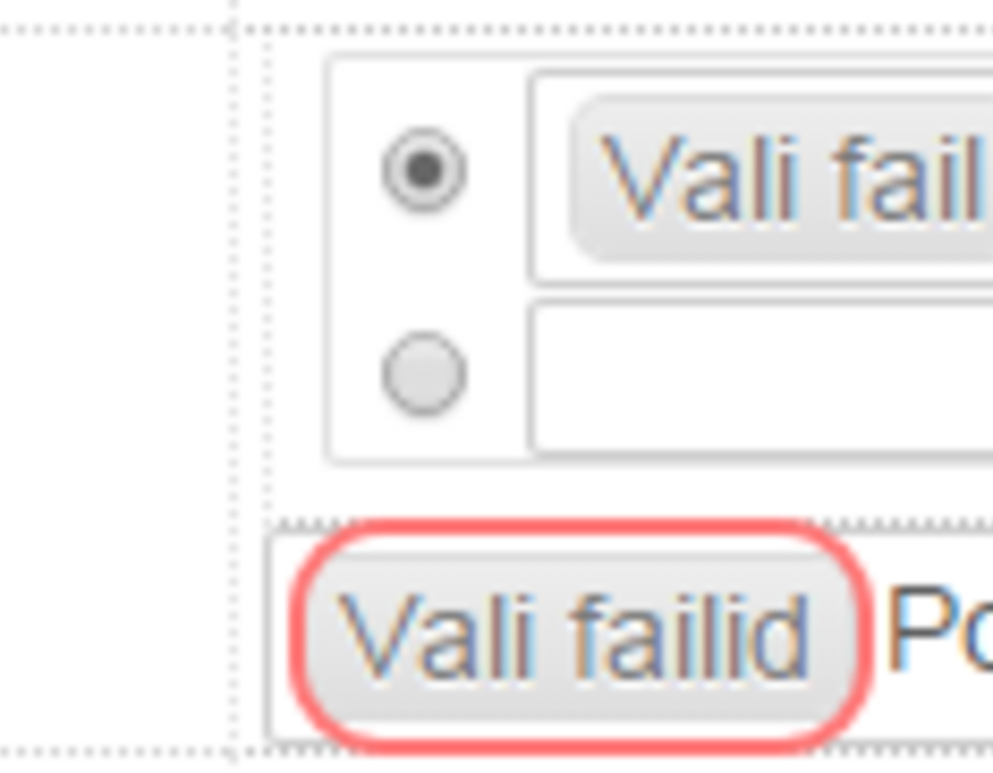 mitme_faili_ylesse_laadimine.png