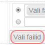 mitme_faili_ylesse_laadimine.png