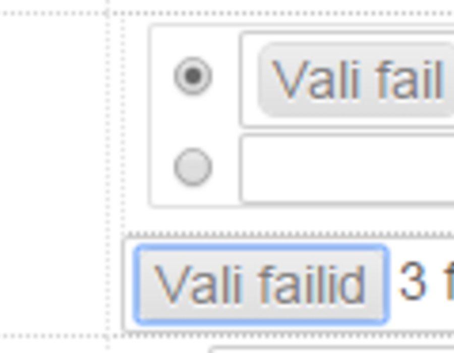 mitu_faili_valitud.png