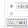 mitu_faili_valitud.png