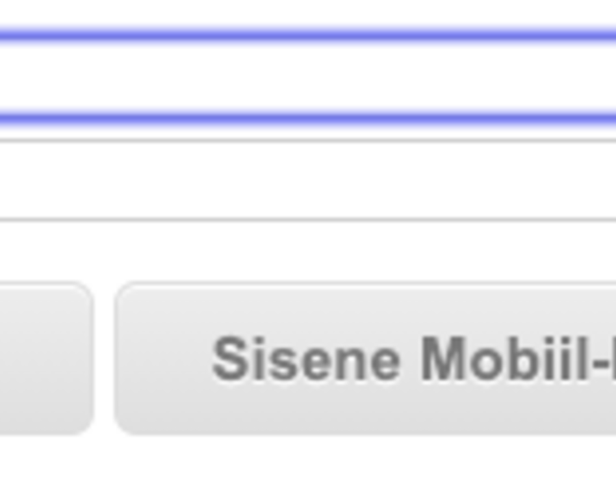 sisselogimisaken2.png