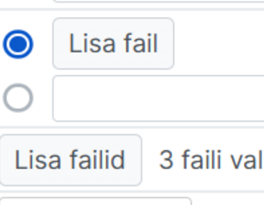 failide_lisamine5.png