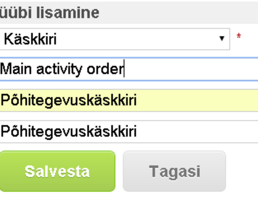 uue_alamtüübi_lisamine_nimetuse_andmine.png