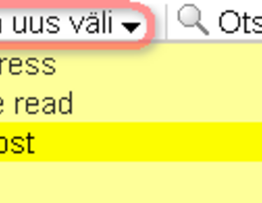 välja_lisamine.png