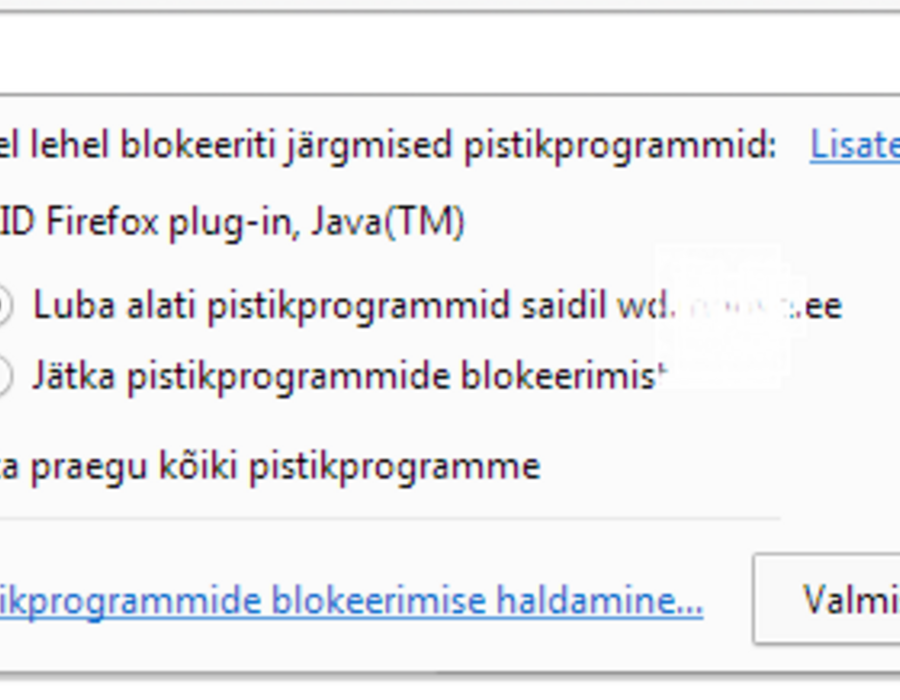luba_alati_pistikprogramm_google_chrome.png
