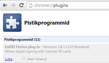 google_chrome_pistikprogrammi_lubamine.png